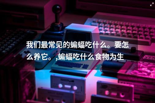 我们最常见的蝙蝠吃什么。要怎么养它。,蝙蝠吃什么食物为生-第1张-游戏相关-泓泰