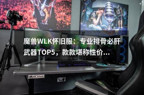 魔兽WLK怀旧服：专业排骨必肝武器TOP5，款款堪称性价比之王-第1张-游戏相关-泓泰