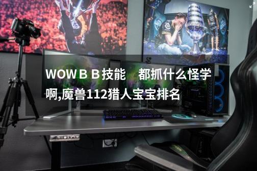 WOWＢＢ技能　都抓什么怪学啊,魔兽112猎人宝宝排名-第1张-游戏相关-泓泰