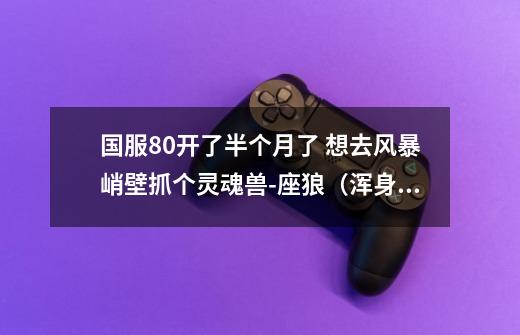 国服80开了半个月了 想去风暴峭壁抓个灵魂兽-座狼（浑身蓝颜色的稀有精英狼），求刷新时间及小技巧。,80版本灵魂兽-第1张-游戏相关-泓泰