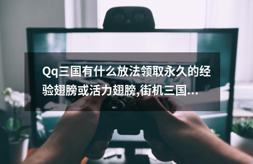 Qq三国有什么放法领取永久的经验翅膀或活力翅膀,街机三国七件套翅膀怎么领取-第1张-游戏相关-泓泰