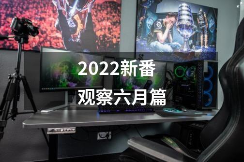 2022新番观察六月篇-第1张-游戏相关-泓泰