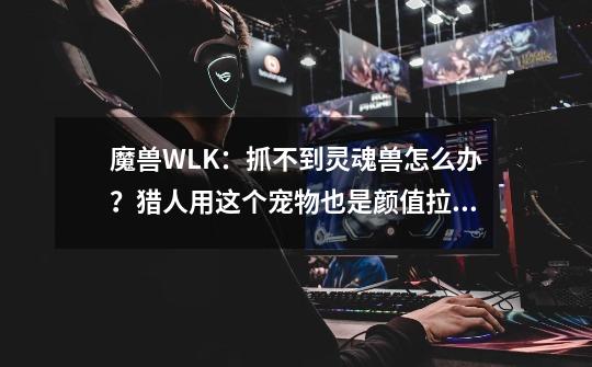 魔兽WLK：抓不到灵魂兽怎么办？猎人用这个宠物也是颜值拉满的-第1张-游戏相关-泓泰