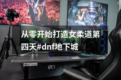 从零开始打造女柔道第四天#dnf地下城-第1张-游戏相关-泓泰