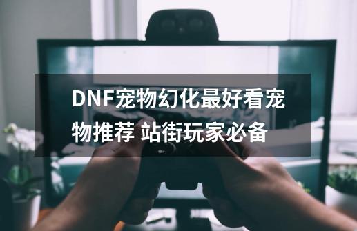 DNF宠物幻化最好看宠物推荐 站街玩家必备-第1张-游戏相关-泓泰