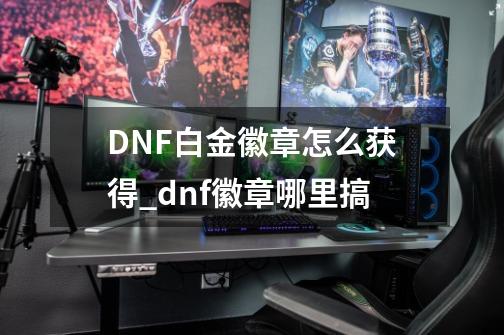 DNF白金徽章怎么获得_dnf徽章哪里搞-第1张-游戏相关-泓泰