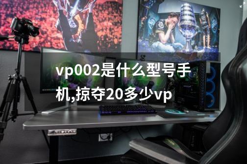 vp002是什么型号手机,掠夺20多少vp-第1张-游戏相关-泓泰