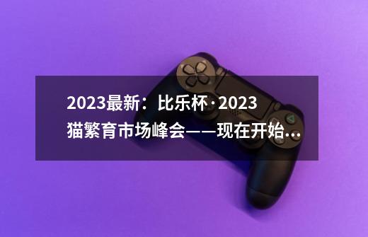 2023最新：比乐杯·2023猫繁育市场峰会——现在开始报名啦！-第1张-游戏相关-泓泰