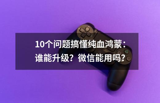 10个问题搞懂纯血鸿蒙：谁能升级？微信能用吗？-第1张-游戏相关-泓泰