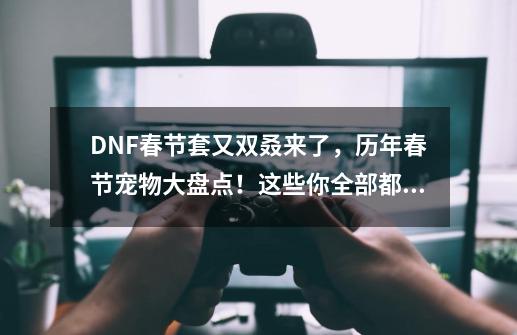 DNF春节套又双叒来了，历年春节宠物大盘点！这些你全部都有么？-第1张-游戏相关-泓泰