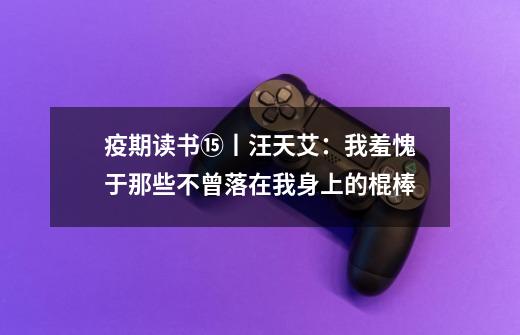 疫期读书⑮丨汪天艾：我羞愧于那些不曾落在我身上的棍棒-第1张-游戏相关-泓泰