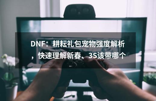 DNF：耕耘礼包宠物强度解析，快速理解新春、3S该带哪个-第1张-游戏相关-泓泰