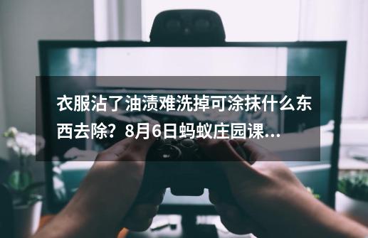 衣服沾了油渍难洗掉可涂抹什么东西去除？9-21蚂蚁庄园课堂-第1张-游戏相关-泓泰