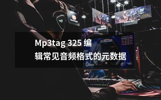 Mp3tag 3.25 编辑常见音频格式的元数据-第1张-游戏相关-泓泰