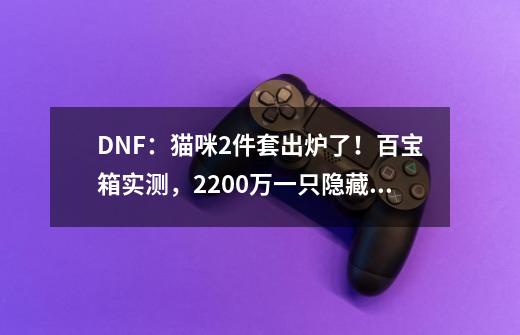 DNF：猫咪2件套出炉了！百宝箱实测，2200万一只隐藏宠物-第1张-游戏相关-泓泰