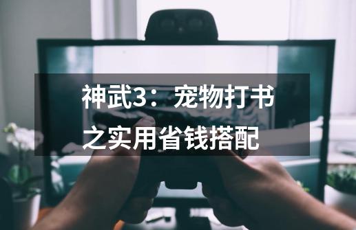 神武3：宠物打书之实用省钱搭配-第1张-游戏相关-泓泰