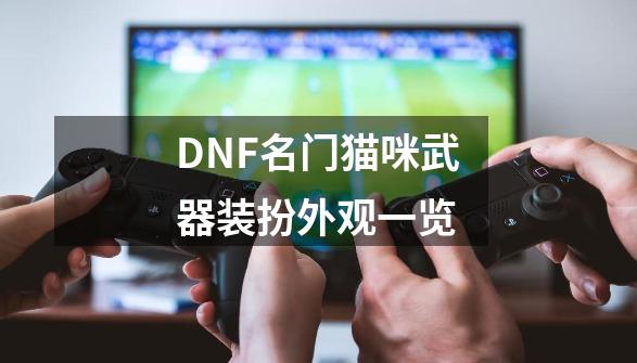 DNF名门猫咪武器装扮外观一览-第1张-游戏相关-泓泰