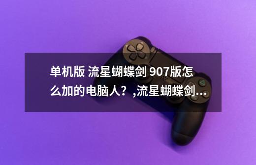 单机版 流星蝴蝶剑 9.07版怎么加的电脑人？,流星蝴蝶剑单机模式怎么加人-第1张-游戏相关-泓泰